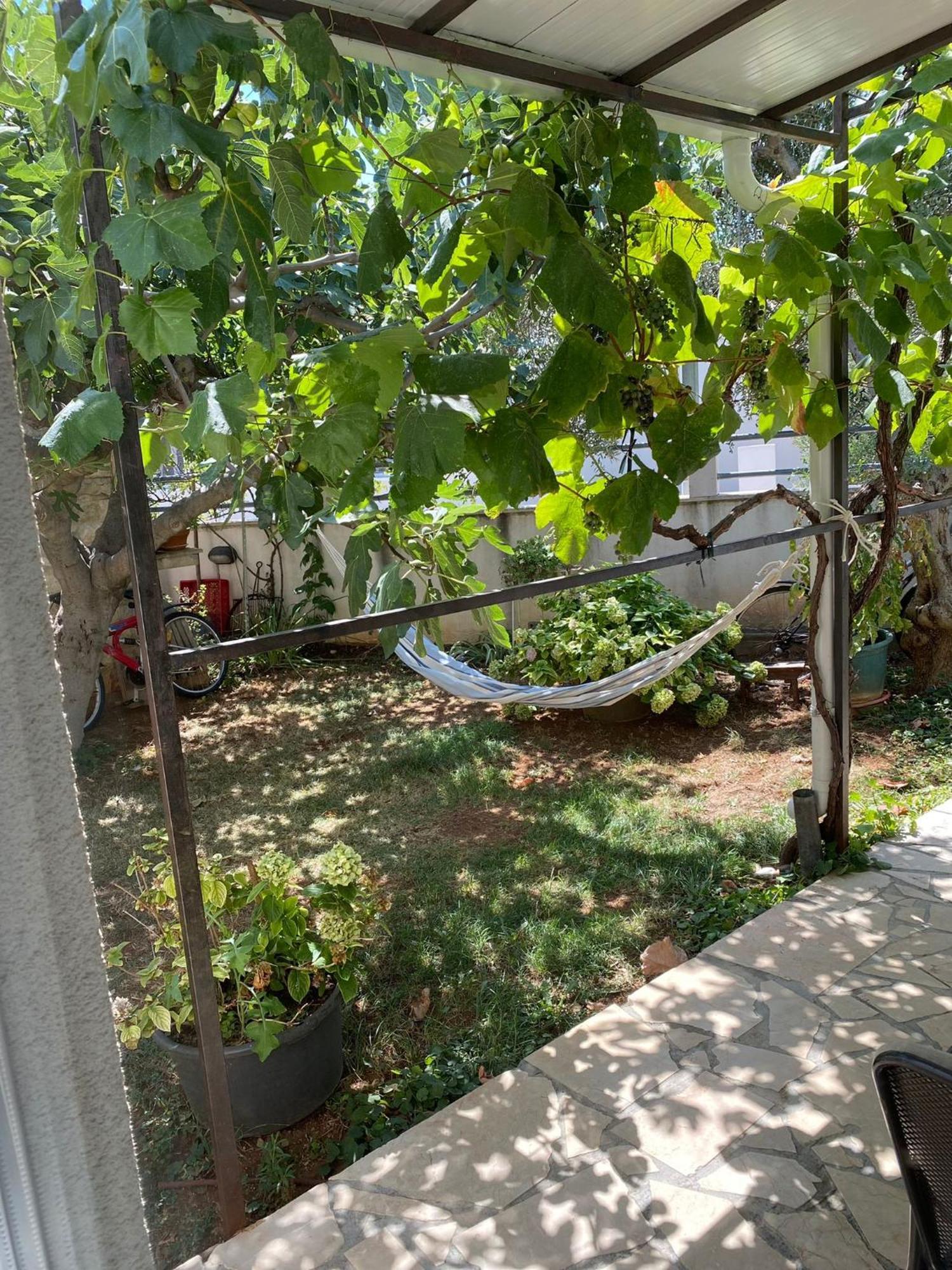 וודיצה Apartments Jonjic מראה חיצוני תמונה