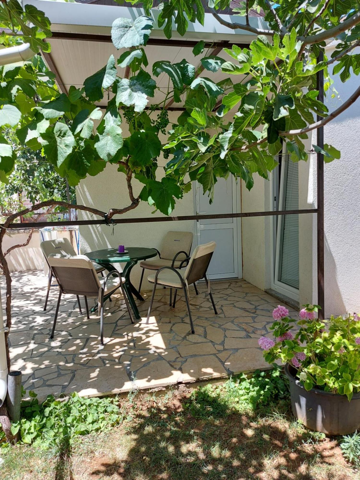 וודיצה Apartments Jonjic מראה חיצוני תמונה
